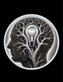 Brilliantaires Inc Learning Institute logo